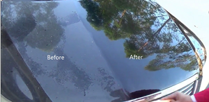 ווקס קרנובה מקצועי לרכב כולל ספוג VESLEE