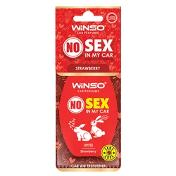 כרטיס רייחני NO SEX IN MY CAR לתלייה במגוון ניחוחות